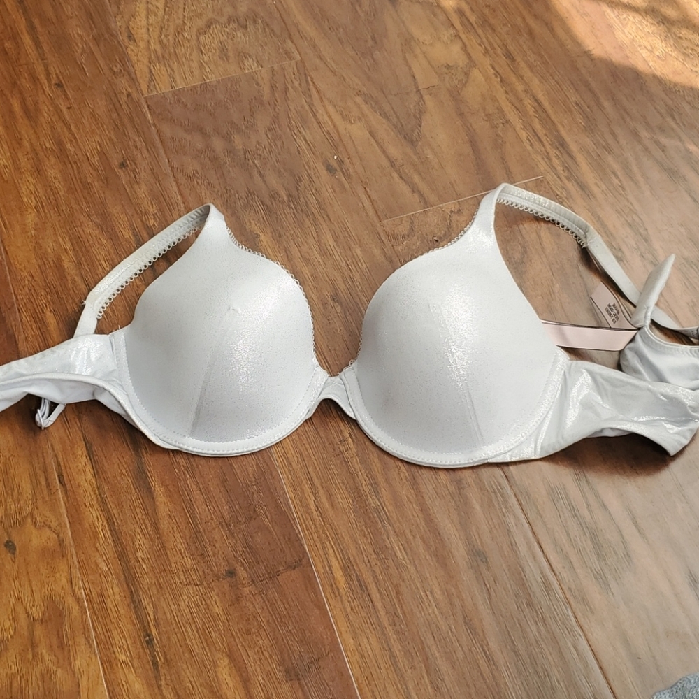Silver Sparkle Bra